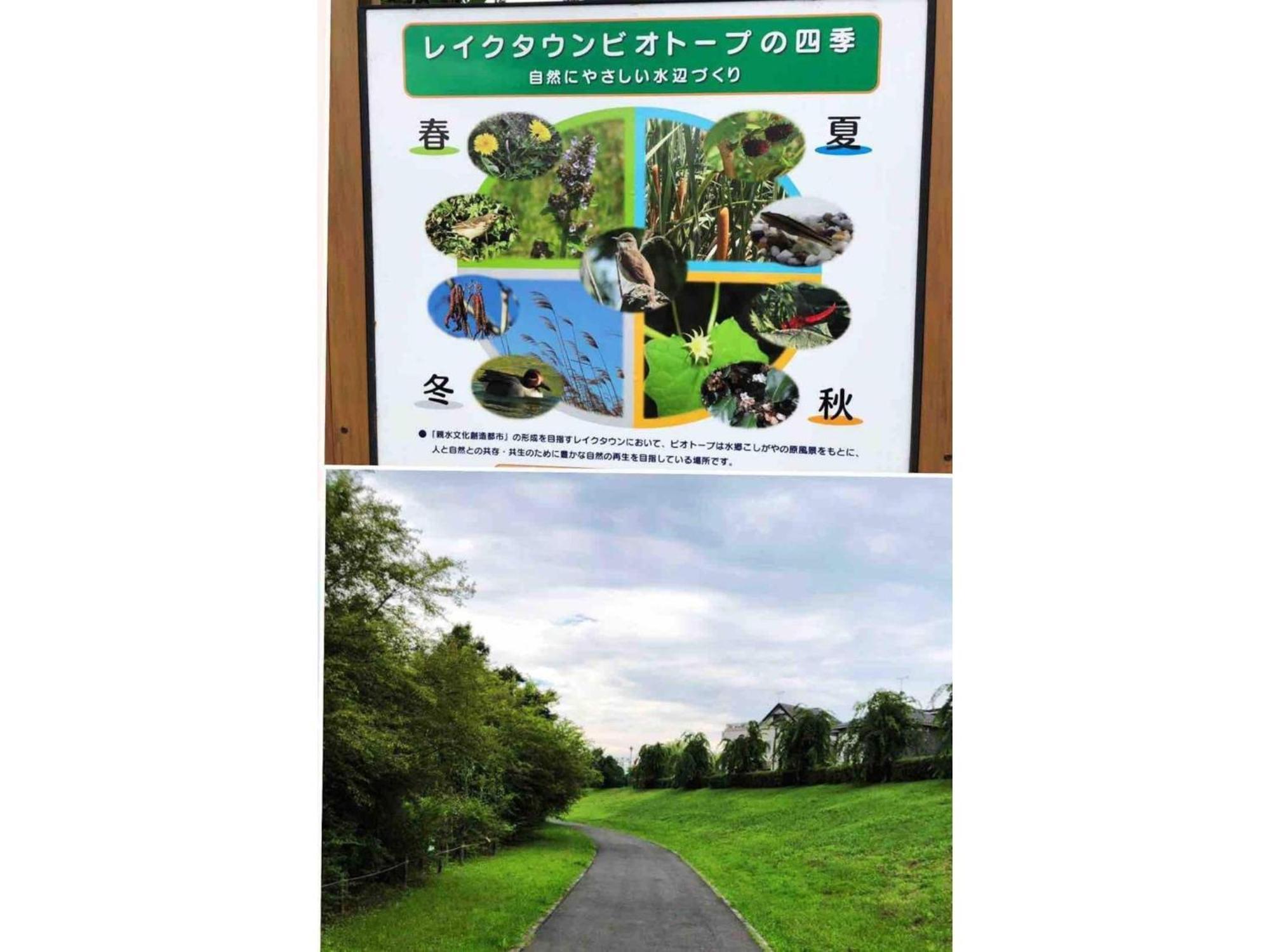 Gasho No Ie - Vacation 11379 Holiday home